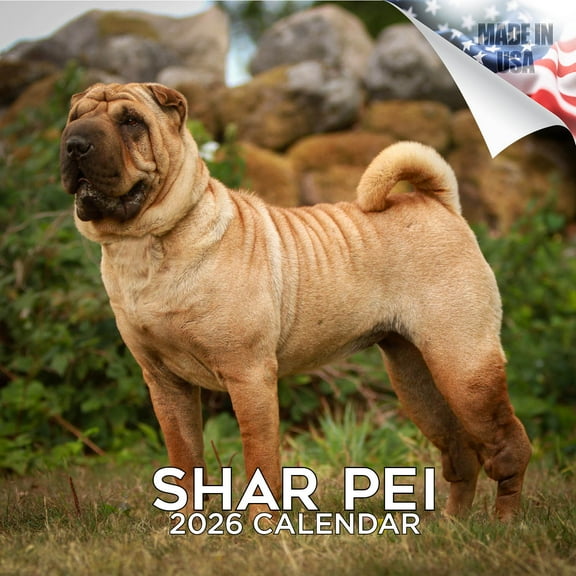 2025 2026 Shar Pei Calendar - Dog Breed Monthly Wall Calendar - Made In USA - 12 x 24 (Open) - Planner Calendar for Organizing & Planning