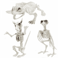 thumbnail image 4 of Halloween Decorations Animal Skeleton & Skull Realistic Bones Scary Party Props-Snake, 4 of 5