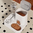 thumbnail image 4 of Dual-Bowl Automatic Pet Feeder & Water Dispenser Capacity, Neck-Friendly Food & Water Bowl for Dogs & Cats, Easy-to-Clean Integrated Pet Feeding Station,Modern Hydration, 140L, Gray, 4 of 8