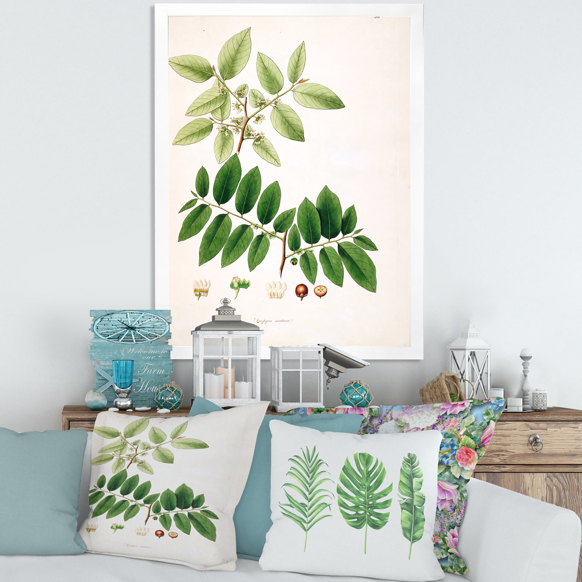 Designart 'Ancient Botanicals XIV' Farmhouse Framed Art Print