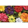 thumbnail image 1 of Toland Home Garden 800030 Zippy Zinnias Doormat, 1 of 6