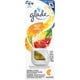 thumbnail image 1 of GLADE VENT ACEITE HAWAAIN BREEZE, 1 of 1