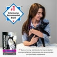 thumbnail image 3 of Nutramax Cosequin for Cats Joint Health Supplement, Soft Chews, 60 Count, 3 of 10