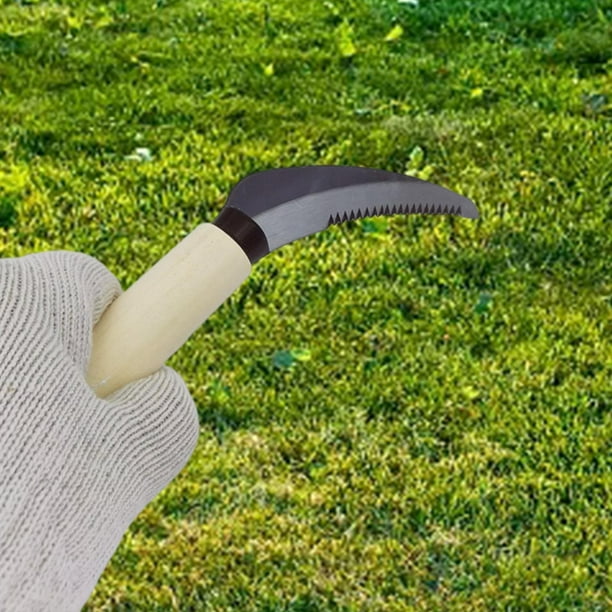Hoz para deshierbar shamjiam Mango de madera de acero inoxidable ligera