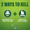thumbnail image 2 of Green Gobbler Total Weed Control, Weed & Grass Killer, OMRI Listed Approved for Organic Use, 1 Gallon, 2 of 8