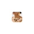 thumbnail image 1 of Juego de Joyería KummerSaprk Collar y Aretes Grandes de Flor Dorada, 1 of 6