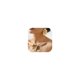 thumbnail image 1 of Juego de Joyería KummerSaprk Collar y Aretes Grandes de Flor Dorada, 1 of 6