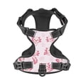 thumbnail image 4 of Lsque Baby Salamander Dog Harness, No-Pull Pet Harness with 2 Leash Clips, Adjustable Soft Padded Dog Vest with Easy Control Handle for Large Dogs-X-Large, 4 of 9