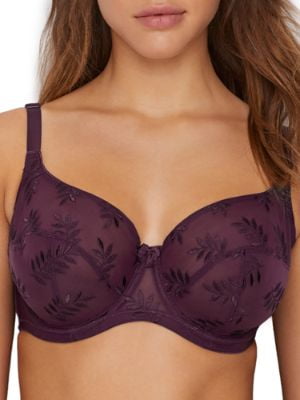 tango bra