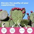 thumbnail image 3 of Suplemento Eleva Nutrition Nopal Cactus 1500 mg 240 cápsulas, 3 of 5