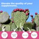 thumbnail image 3 of Suplemento Eleva Nutrition Nopal Cactus 1500 mg 240 cápsulas, 3 of 5
