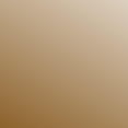 thumbnail image 2 of Pintura Vallejo Sepia Wash 200ml VJ73300, 2 of 5