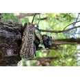 thumbnail image 3 of Hi-Line Gift Ltd. Black Bear W/Gone Fishing Sign, 3 of 8