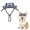 Gray-M A3, variant on Cat Hats with Ear Holes Adjustable Mini Pet Headwear Summer Sun Sombrero Caps, Breathable Sunscreen Hat for Kitten & Chihuahua, Funny Decor for Outdoor, Birthday and Party