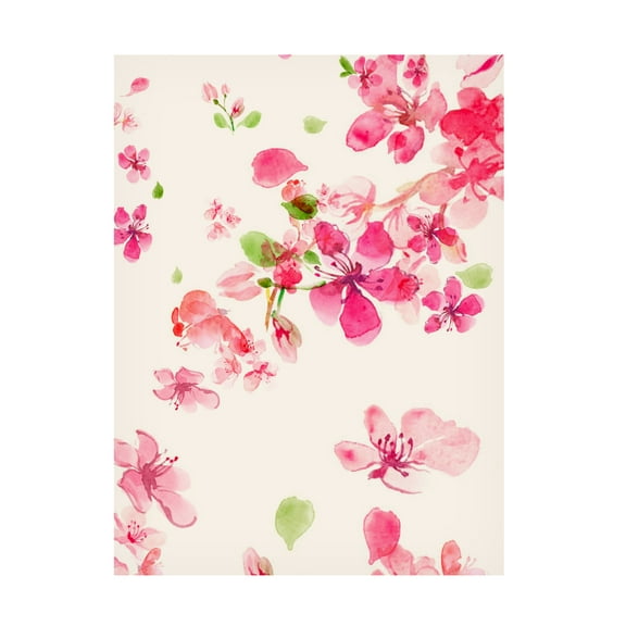 Trademark Fine Art Emel Tunaboylu Rectangle 13 Canvas Wall Art