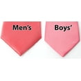 thumbnail image 4 of Spring Notion Boys Satin Zipper Necktie, Optional Gift Box, 4 of 5