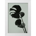 thumbnail image 1 of Artographie Studio 13x18 White Modern Wood Framed Museum Art Print Titled - Monstera Teal 01, 1 of 4