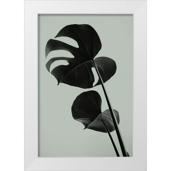 Artographie Studio 13x18 White Modern Wood Framed Museum Art Print Titled - Monstera Teal 01