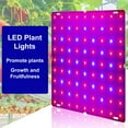 thumbnail image 1 of Quantum Panel Plant Light LED Red and Blue Spectrum Plant Grow Light Indoor Grow Lights, 1 of 7