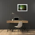 thumbnail image 3 of Goncalves, Adelino 32x23 White Modern Wood Framed Museum Art Print Titled - The Lane, 3 of 4
