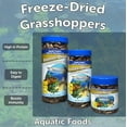 thumbnail image 5 of Grasshoppers, Freeze Dried Grasshoppers for Monster Fish, Reptiles, Turtles, Tortoises, Frogs, Hamsters, Birds, Rodents 1.85oz Canister, 5 of 5