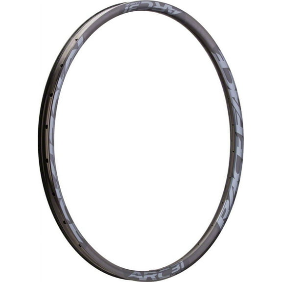 RaceFace ARC 31 Rim - 29" Disc Black 32H