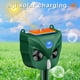 thumbnail image 4 of Repelente de animales ultrasónico, repelente de plagas solar ultrasónico al aire libre con sensor de movimiento y sonido, mapache ardilla de pájaro ultrasónico solar impermeable, 4 of 5
