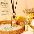 thumbnail image 2 of Reed Diffuser Set of 3 Pack, Linen Vanilla Citrus Scented Oil Diffuser with 15 Sticks, Reed Diffusers for Home, Bathroom Air Freshener, 1.7 Fl.oz Each, Total 5.1 Oz, 2 of 3