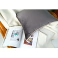 thumbnail image 2 of Gouchee Home Solid Velvet Coussin, 2 of 4