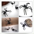thumbnail image 4 of Maoww Boucles d'Oreilles Thème Halloween Insecte Costume Banquet Décoration de Fête, 4 of 8