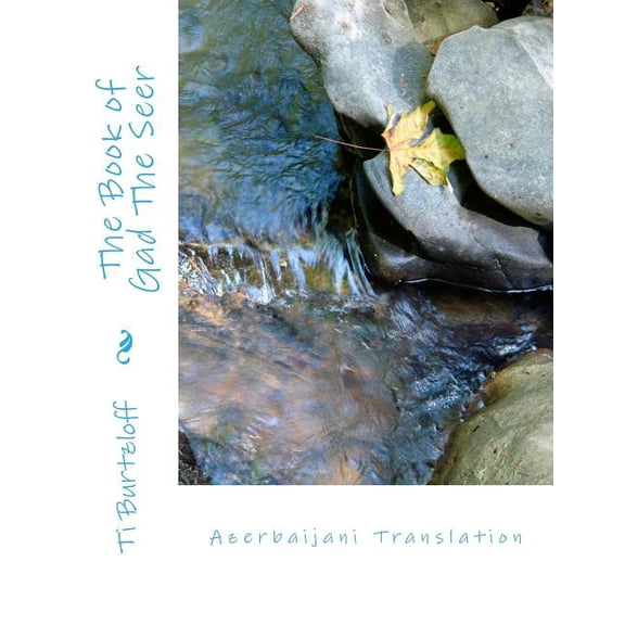 The Book of Gad the Seer (Paperback)