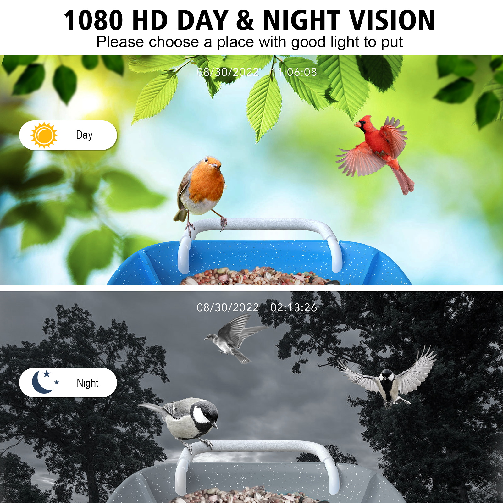 Birddock Smart Bird Feeder with Camera with SD Card, Hummingbird House Bird Feeder Blue