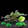 thumbnail image 4 of Plantas artificiales para acuarios, utilizadas para la decoración de acuarios.Plantas de acuario, 4 of 5