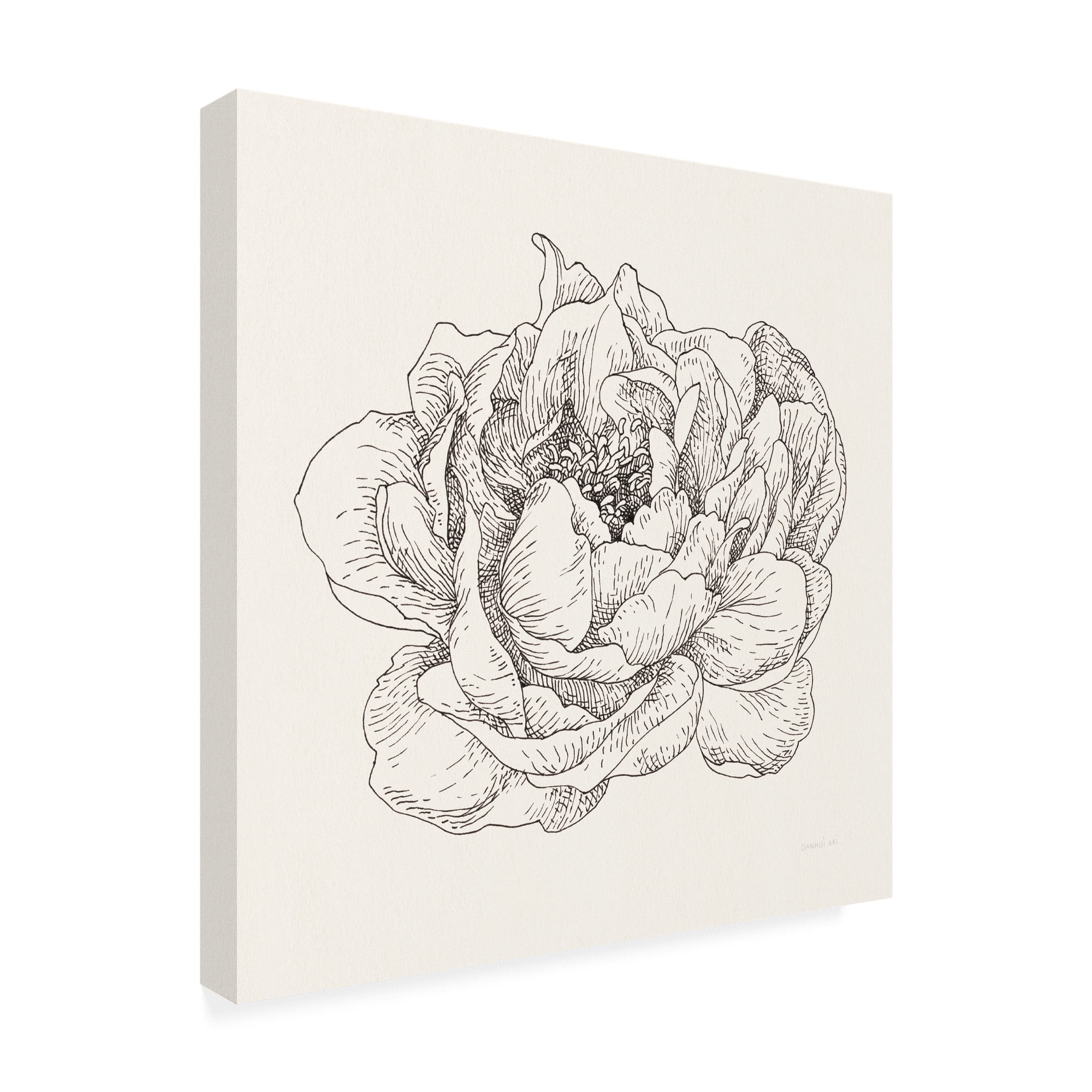 Trademark Fine Art 'Pen and Ink Florals V' Canvas Art by Danhui Nai