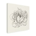 thumbnail image 2 of Trademark Fine Art 'Pen and Ink Florals V' Canvas Art by Danhui Nai, 2 of 3