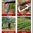 thumbnail image 4 of Hoe Weeding Rake Labor-saving Weeding Loosening Artifact Harrow Handheld steel weeding hoe Hoe Farm Tool Gardening 21cm, 4 of 6
