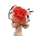 thumbnail image 5 of Baberdicy Women's Dual Fascinator - Clip & Headband Convertible - Wedding/Church Hat - Feather & Mesh Design - Value Pack C,One Size, 5 of 8