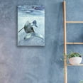 thumbnail image 3 of Epic Art 'Dolphin and Calf' by Stellar Design Studio, Acrylic Glass Wall Art, 16"x24", 3 of 3