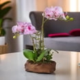 thumbnail image 2 of Faux Orchid Plant, Velvet Touch, With Wooden Like Planter, Indoor Fake Plant, 2 of 5