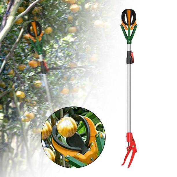Recolector de frutas, herramienta para recolectar frutas, recolector de mangos, mango largo, cambiador de bombillas para techos altos para naranjas