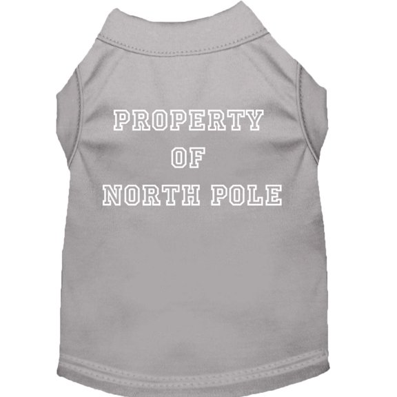 Property of North Pole Screen Print Shirts Grey S (10)