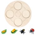 thumbnail image 1 of Simulation Insect Plastic Animal Early Growth Animal Plant Toy Preschool Model Miniature Educational Props Cognition Toy for Children Type 8, 1 of 9