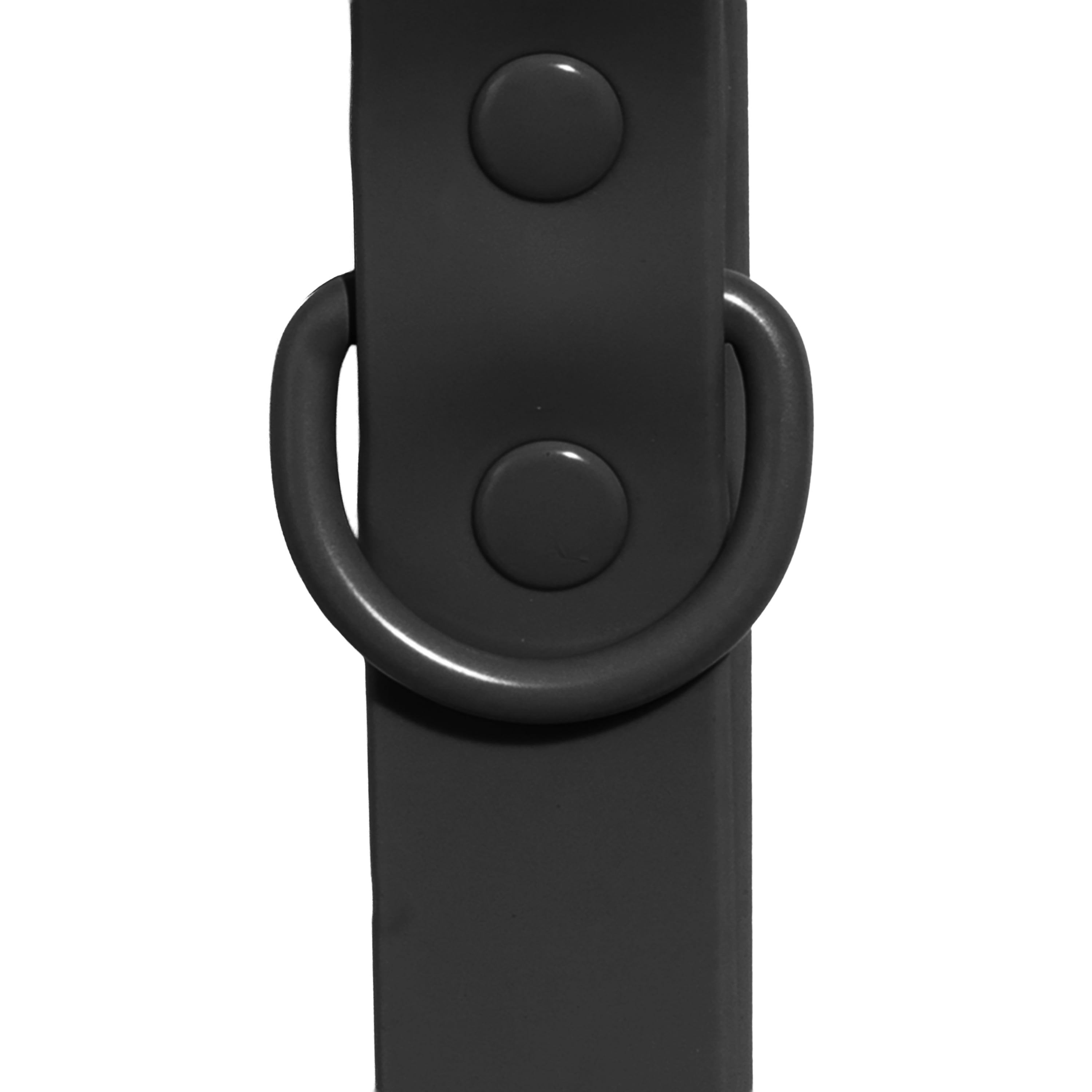 Vibrant Life Water Resistant Adjustable Dog Collar, Black, M