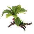 thumbnail image 4 of LOVIVER Aquarium Reptile Terrarium Plant Landscaping Decoration Sprout roots QL2127, 4 of 8