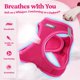 thumbnail image 3 of Juego de arneses para perros Rabbitgoo Step-In Small con correa, color rojo rosado, 3 of 8