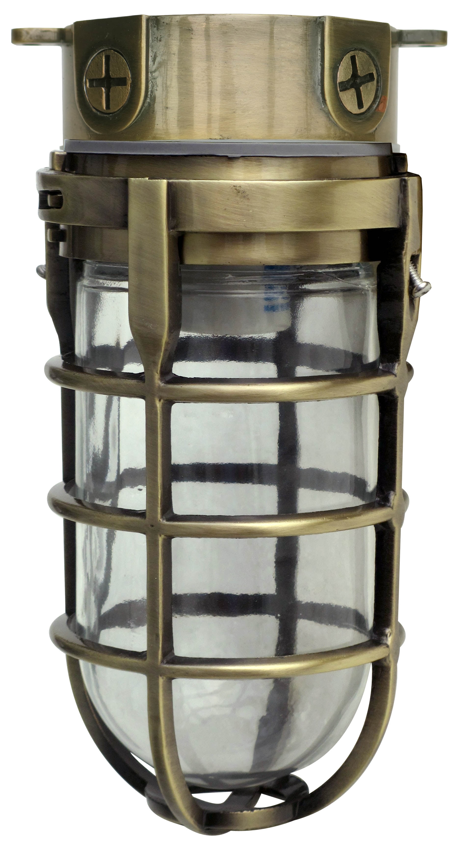 Vandal Resistant Security Light With Ceiling Mount Bulb Metal Cage Rain Silver 
