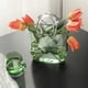 thumbnail image 3 of Cesta de transporte con forma de bolsa, jarrón de cristal verde, flores acuáticas, flores secas, adorno, pecera, decoración del hogar, 3 of 5
