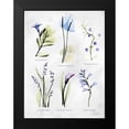 thumbnail image 2 of Koetsier, Albert 12x14 Black Modern Framed Museum Art Print Titled - Vast Botanicals, 2 of 5