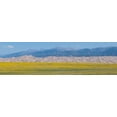 thumbnail image 2 of Hopkins, Cindy Miller 32x12 Gold Ornate Wood Framed with Double Matting Museum Art Print Titled - USA-Colorado-San Luis Valley-Great Sand Dunes National Park, 2 of 4
