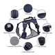 thumbnail image 5 of Pechera Arnés Belug  De Seguridad Para Perro AZUL MARINO talla S, 5 of 5